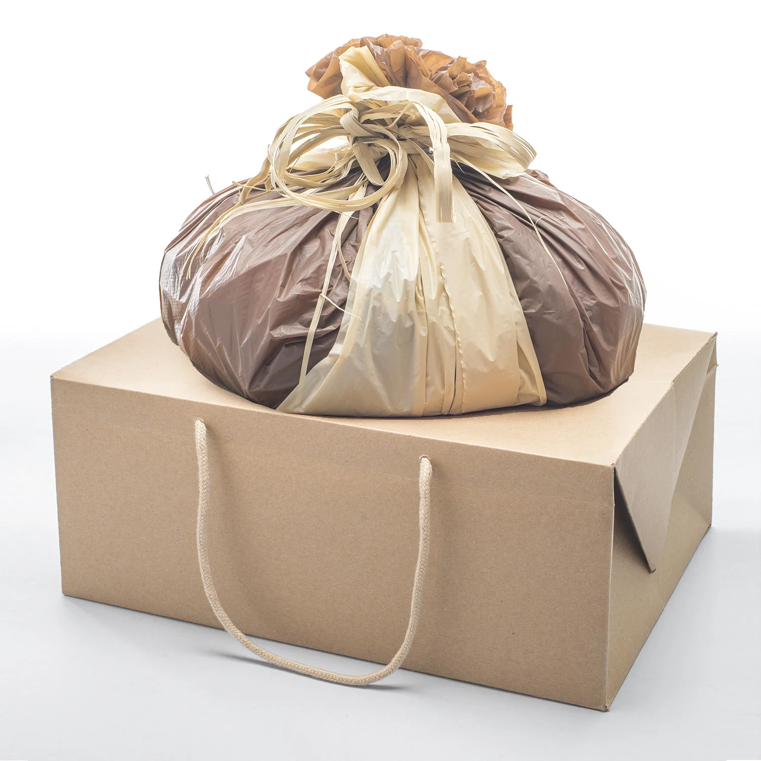 Bag Box Avana Formato 33,5 cm + 23,5 cm x 14 cm per Colomba - Image 3