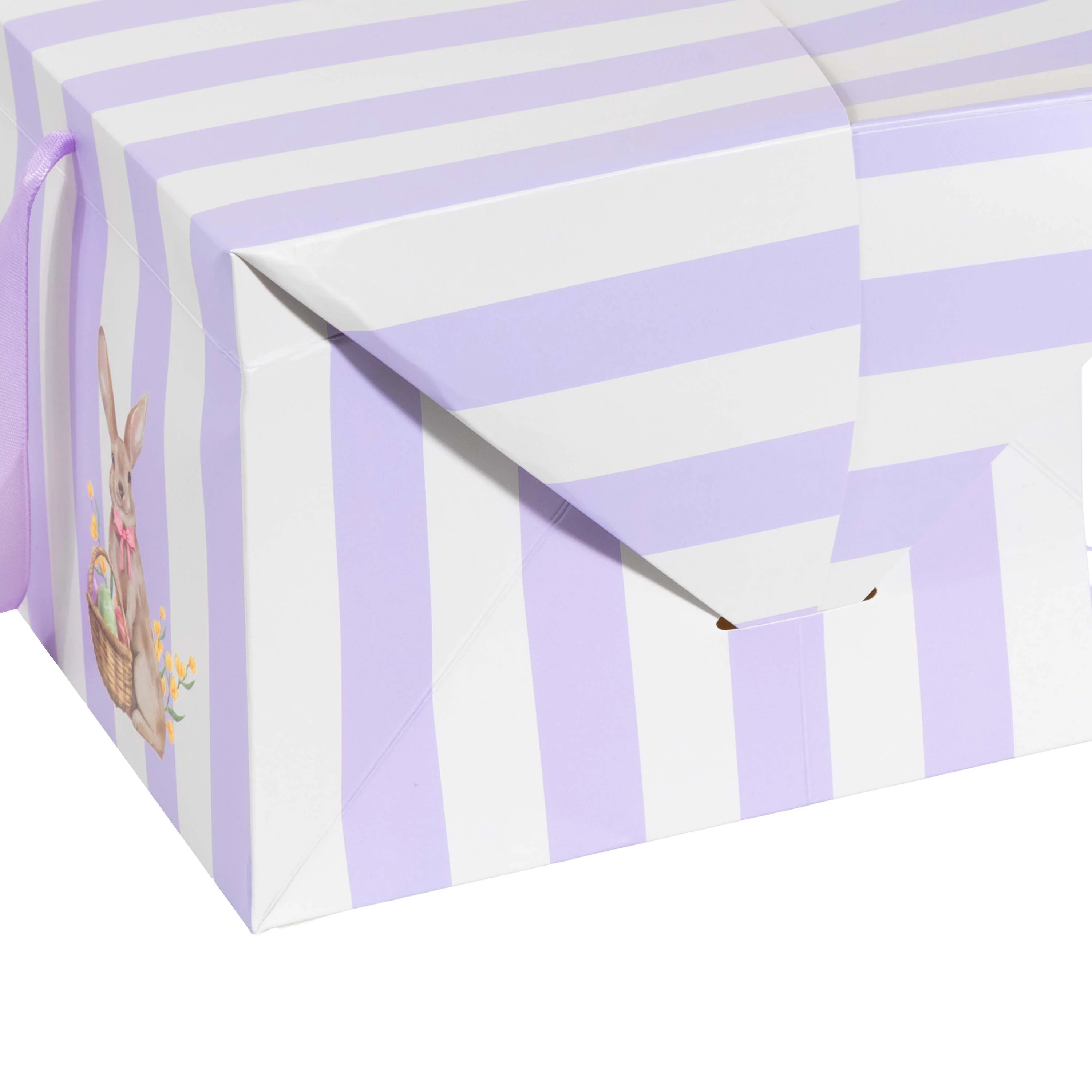 Bag Box Portacolomba Righe Mix - Image 7