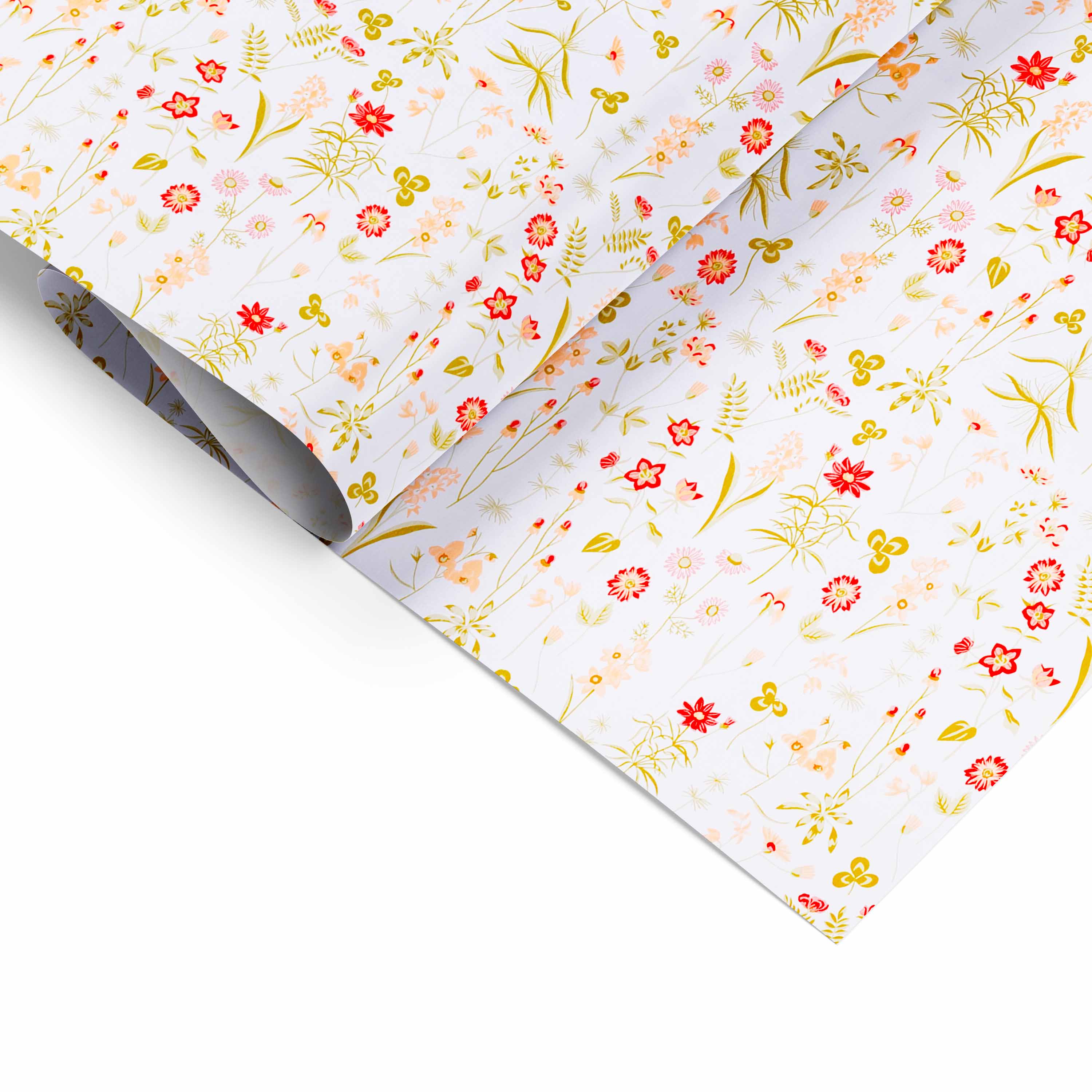 Bobina Carta Bianca Primavera - Image 2