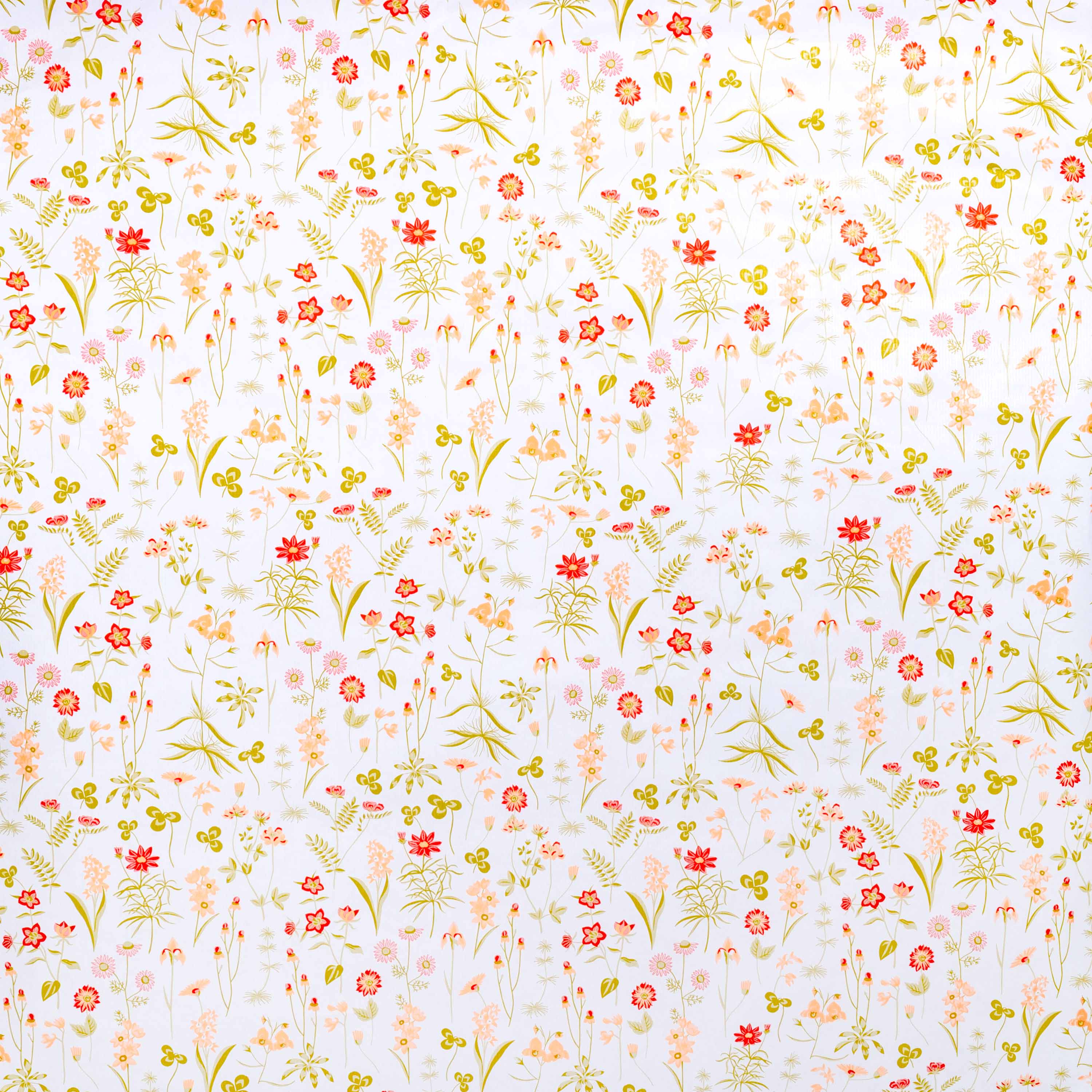 Bobina Carta Bianca Primavera - Image 3