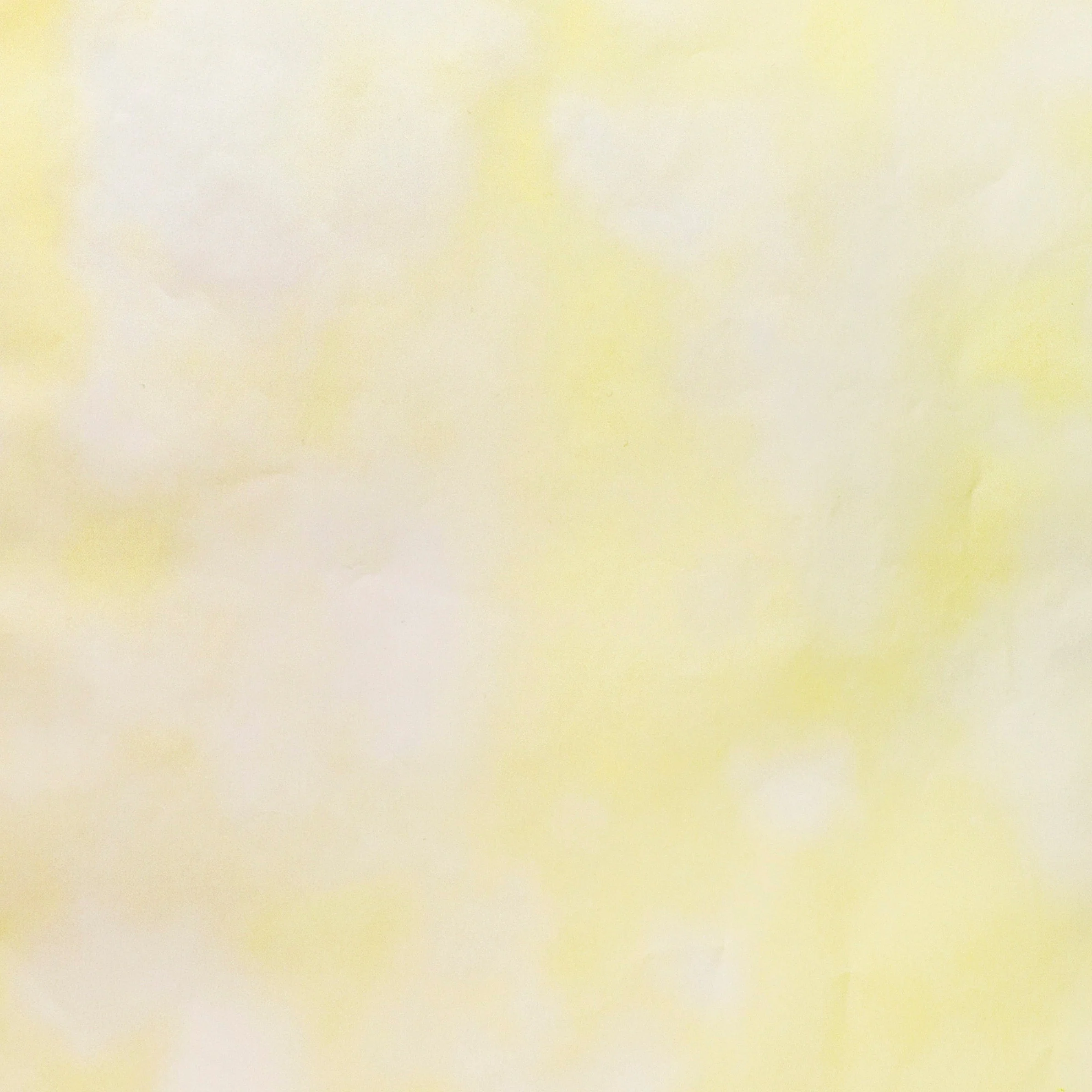Carta Pelle Aglio Pasticceria a Fantasia Spatolata - Image 4