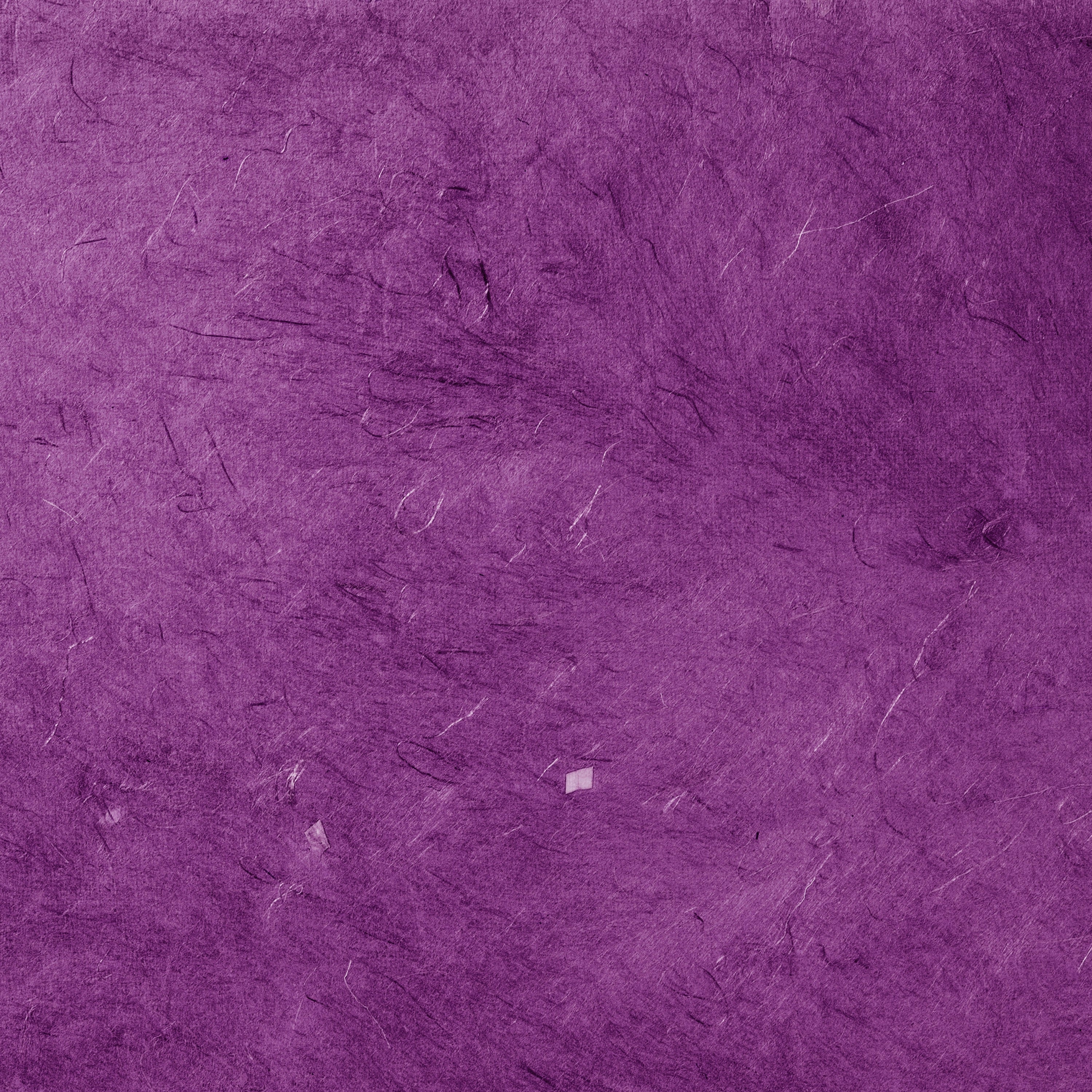 Carta Regalo Fibre Naturali Viola - Image 4