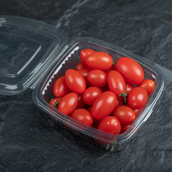 Vaschette Rettangolari in Plastica Trasparente - Image 3