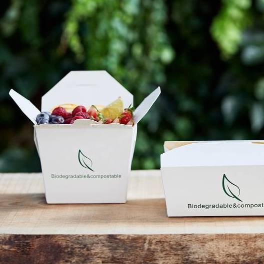 Food Box in Cartoncino e PLA Bio - Image 2
