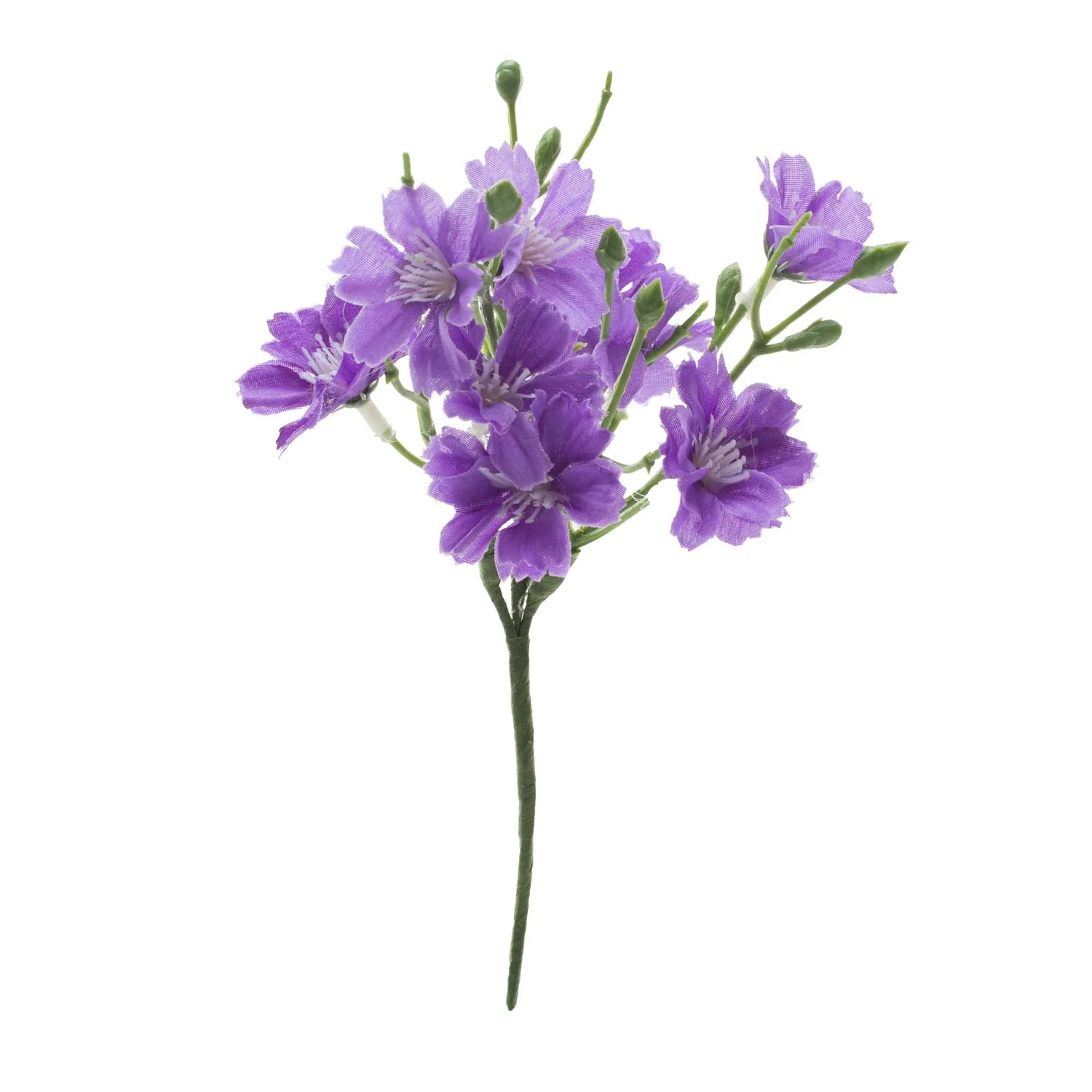 Pick Fiori di Primula - Image 4