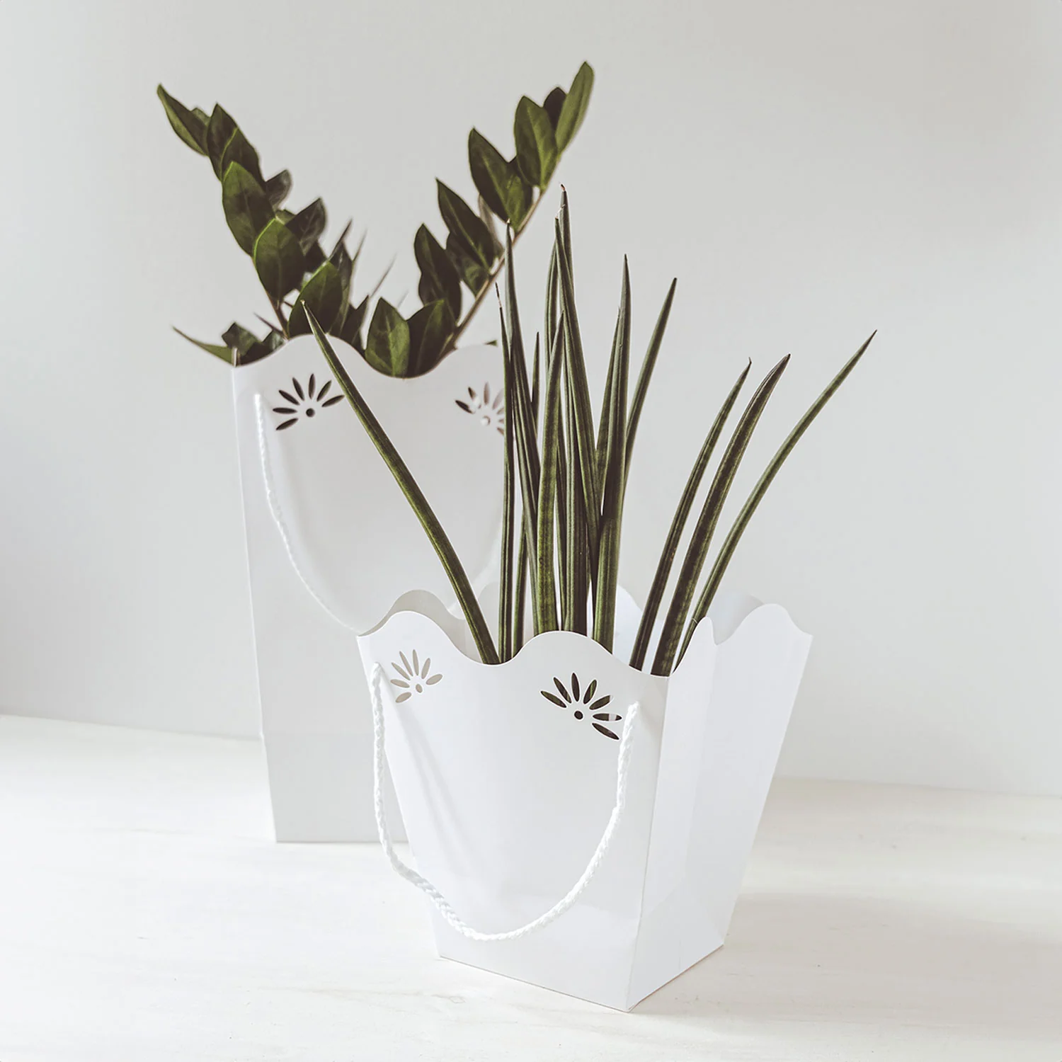 Shopper per piante 210gr con interno PE - Image 9